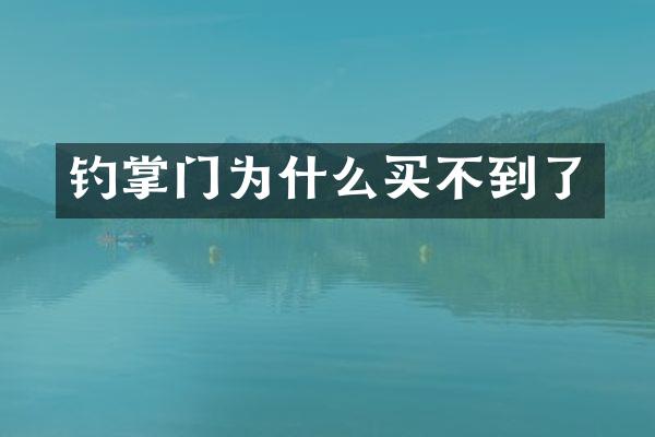 钓掌门为什么买不到了