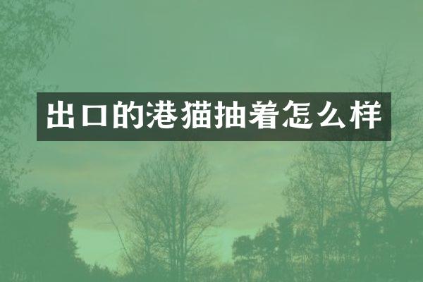 出口的港猫抽着怎么样