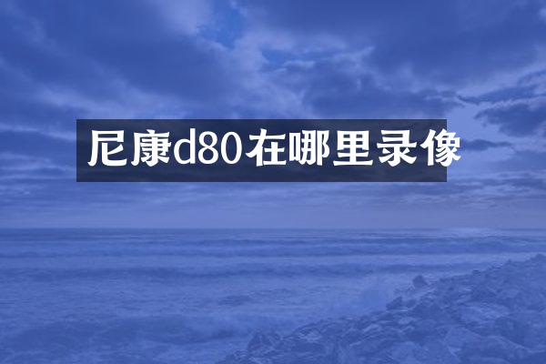 尼康d80在哪里录像