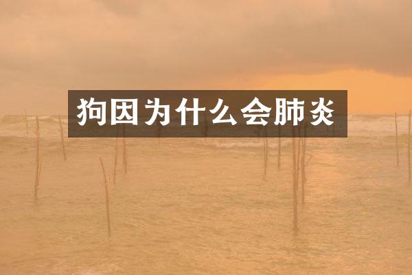 狗因为什么会肺炎