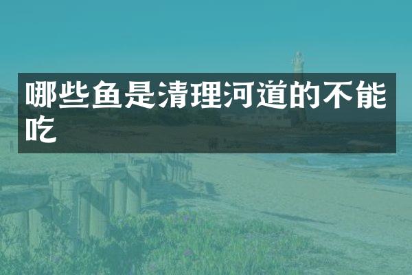 哪些鱼是清理河道的不能吃