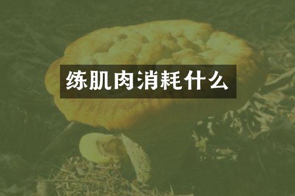 练肌肉消耗什么