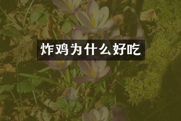 炸鸡为什么好吃