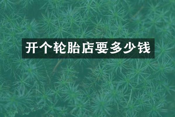 开个轮胎店要多少钱