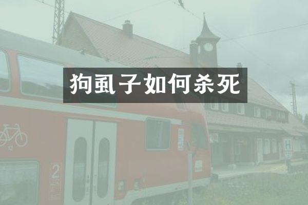 狗虱子如何杀死