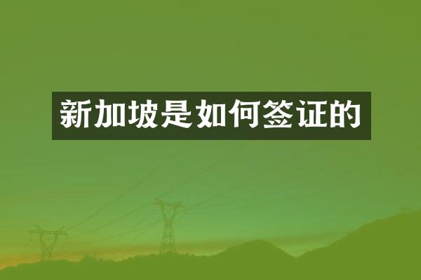 新加坡是如何签证的