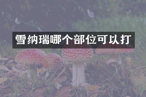 雪纳瑞哪个部位可以打