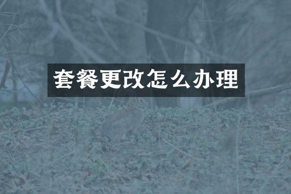 套餐更改怎么办理