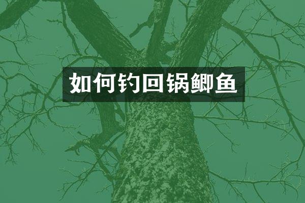 如何钓回锅鲫鱼