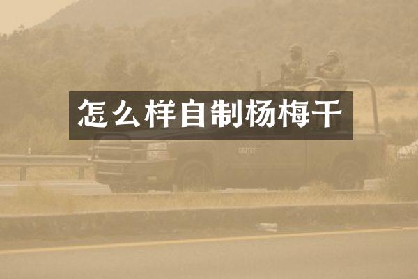 怎么样自制杨梅干