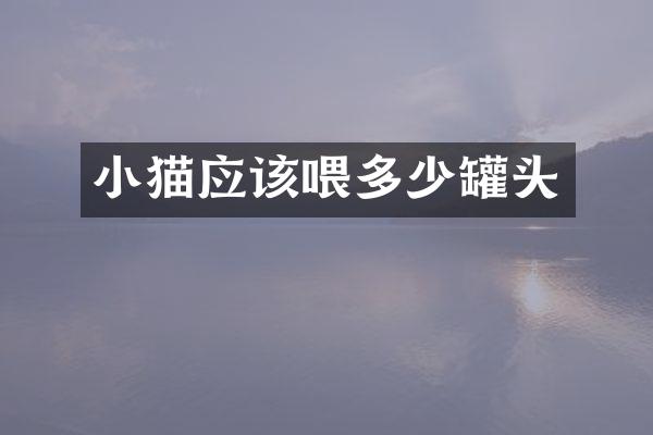 小猫应该喂多少罐头
