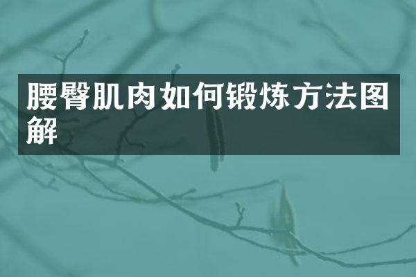 腰臀肌肉如何锻炼方法图解