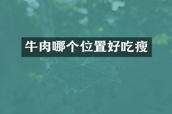牛肉哪个位置好吃瘦