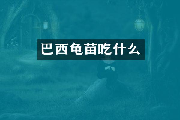 巴西龟苗吃什么