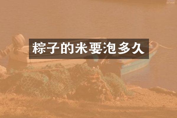粽子的米要泡多久