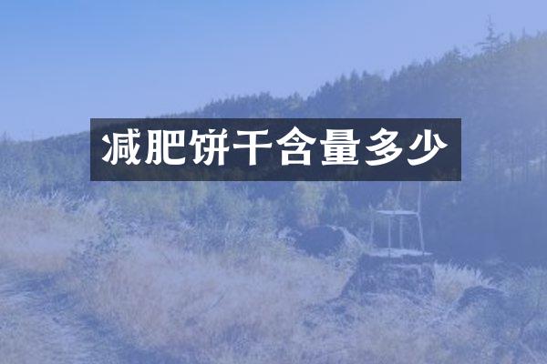 减肥饼干含量多少