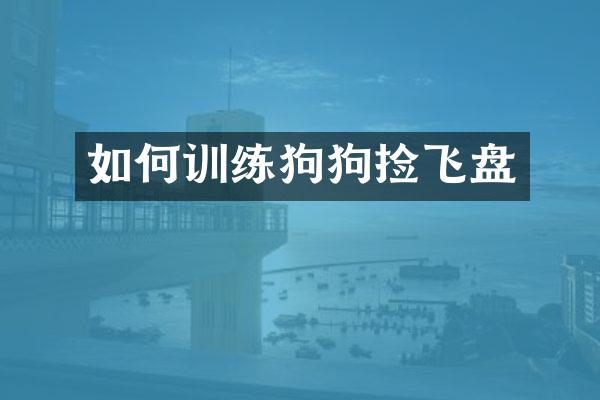 如何训练狗狗捡飞盘