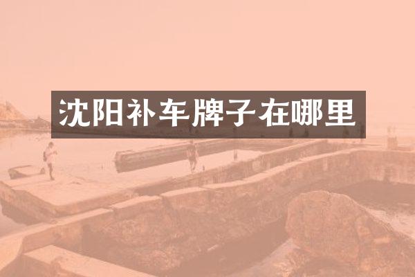 沈阳补车牌子在哪里