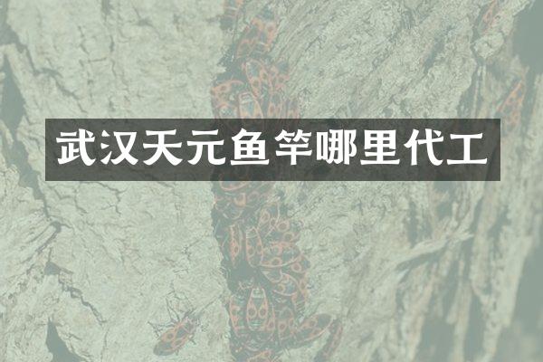 武汉天元鱼竿哪里代工
