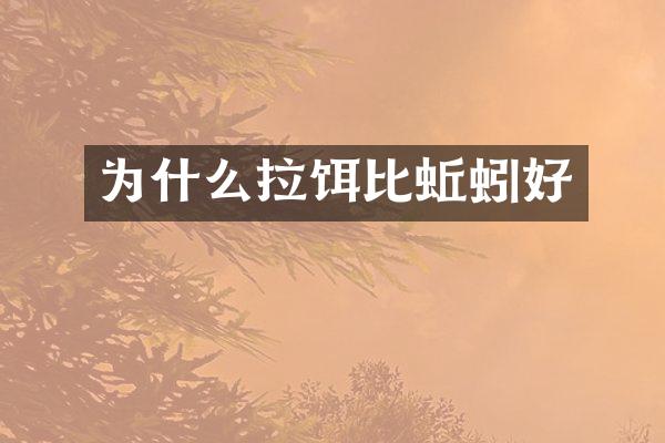 为什么拉饵比蚯蚓好