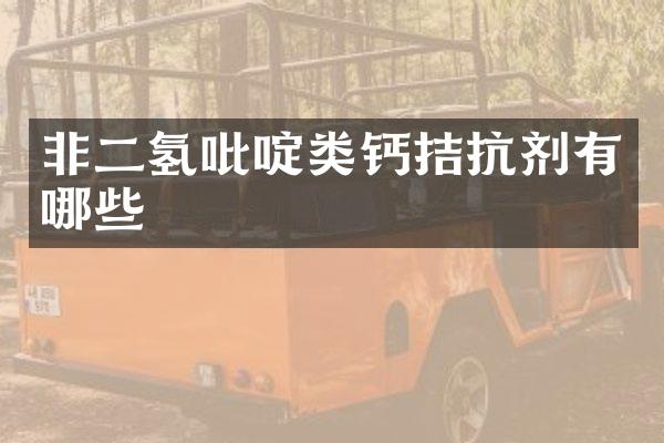 非二氢类钙拮抗剂有哪些