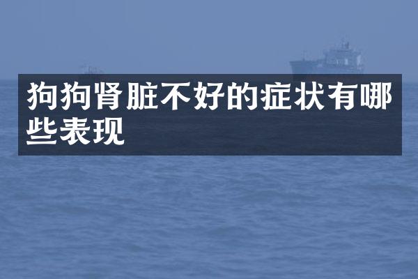 狗狗肾脏不好的症状有哪些表现