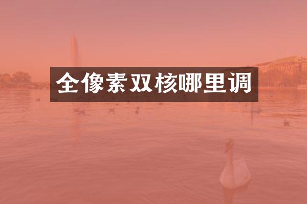 全像素双核哪里调