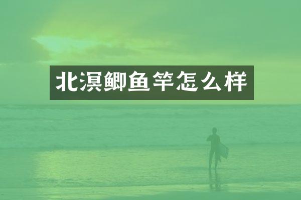 北溟鲫鱼竿怎么样