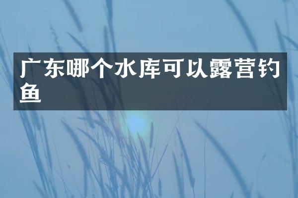 广东哪个水库可以露营钓鱼
