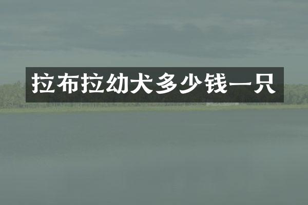 拉布拉幼犬多少钱一只