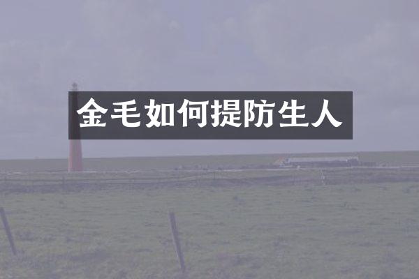 金毛如何提防生人