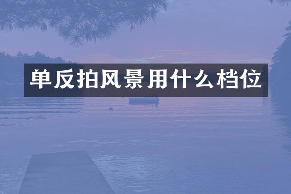 单反拍风景用什么档位