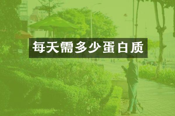 每天需多少蛋白质