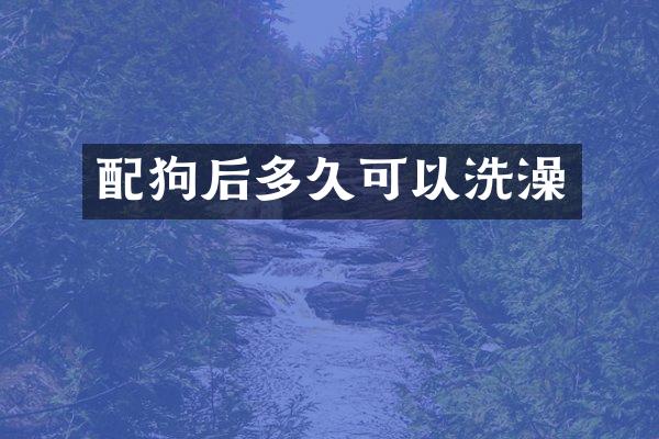 配狗后多久可以洗澡