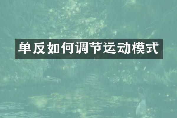 单反如何调节运动模式