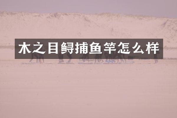木之目鲟捕鱼竿怎么样