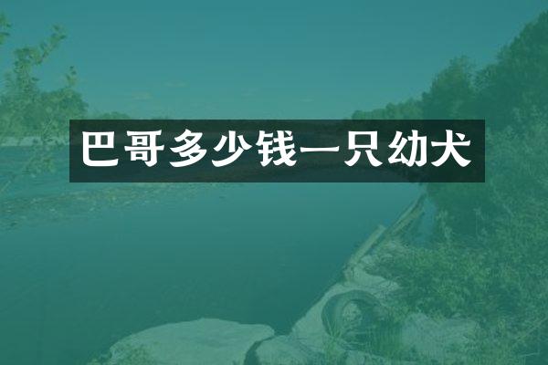 巴哥多少钱一只幼犬