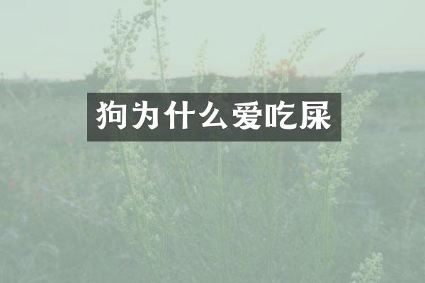 狗为什么爱吃屎