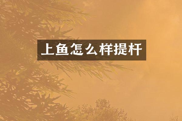 上鱼怎么样提杆