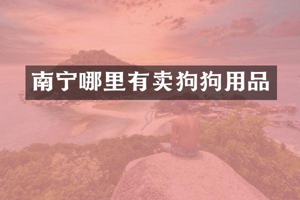 南宁哪里有卖狗狗用品