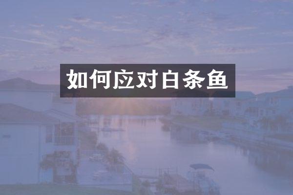 如何应对白条鱼