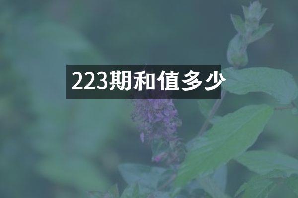 223期和值多少