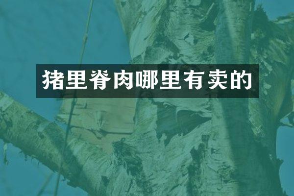 猪里脊肉哪里有卖的