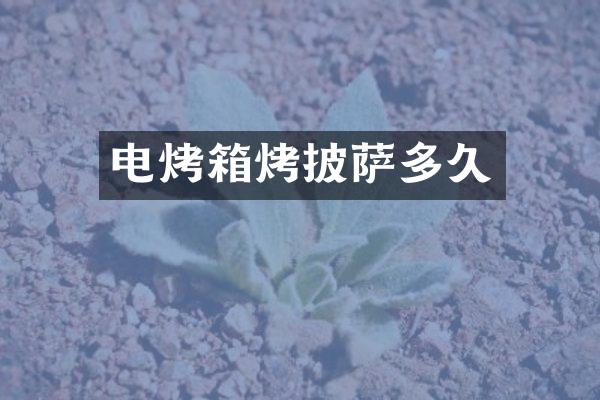 电烤箱烤披萨多久