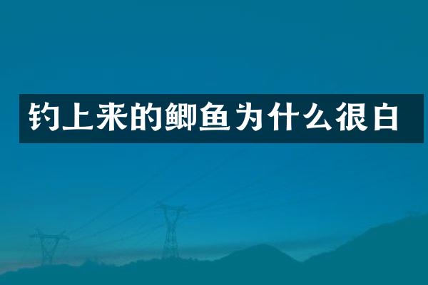 钓上来的鲫鱼为什么很白