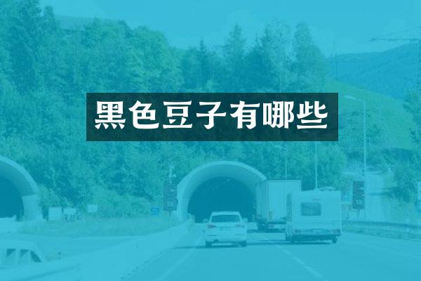 黑色豆子有哪些