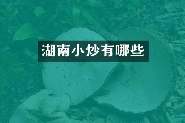 湖南小炒有哪些