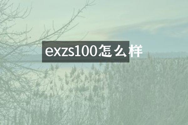 exzs100怎么样