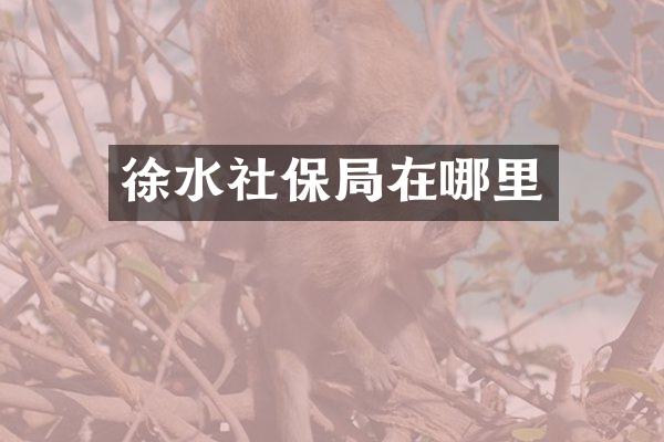 徐水社保局在哪里