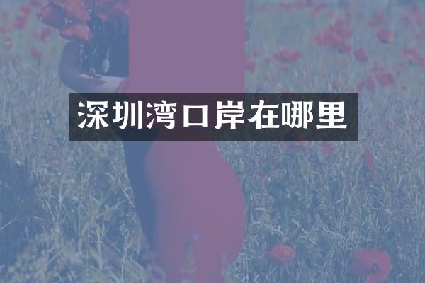 深圳湾口岸在哪里